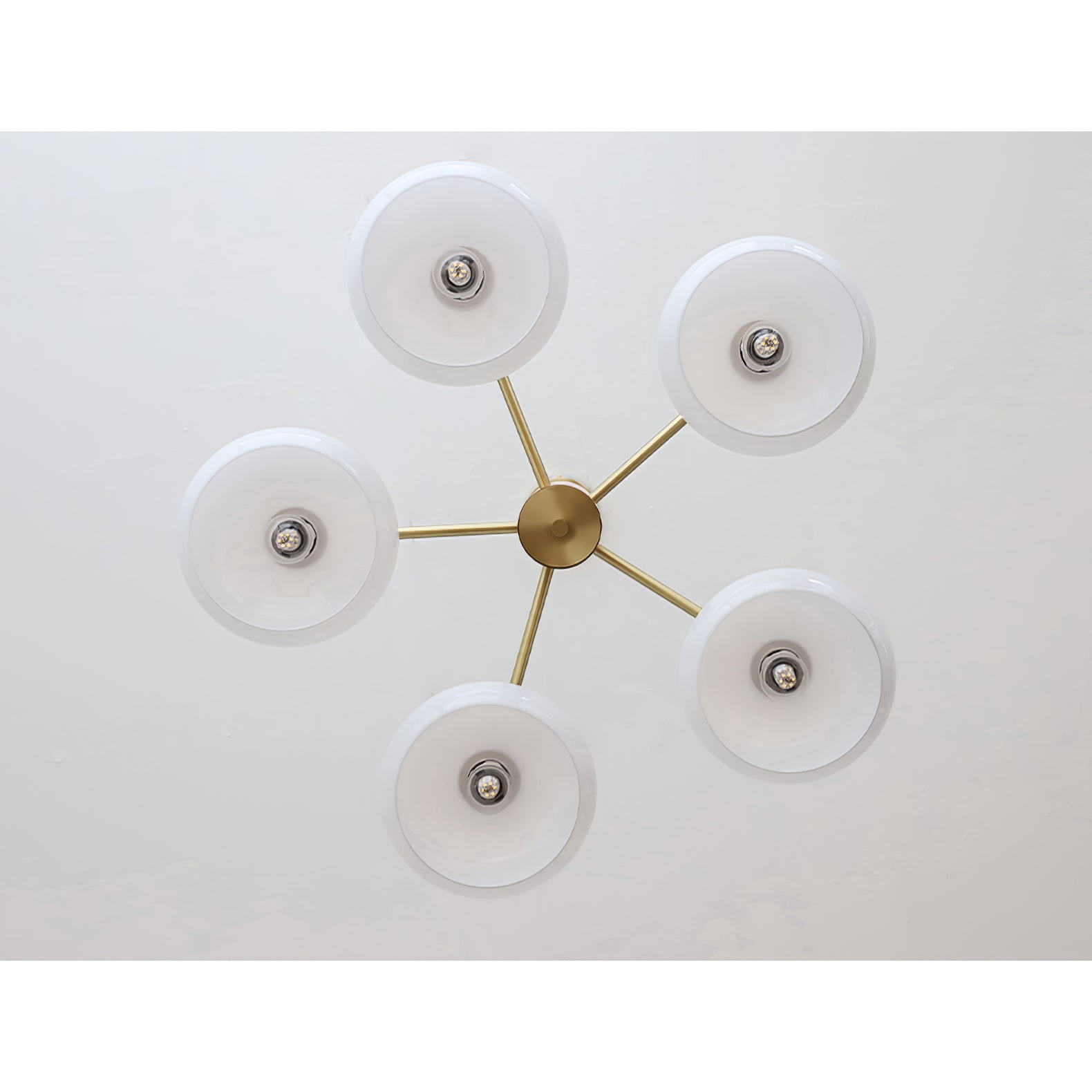 Persimmon Oval Chandelier