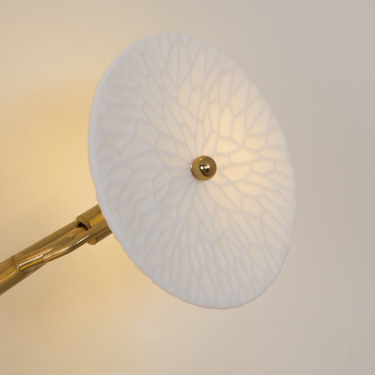 Bloom Ceramic Petal Sconce