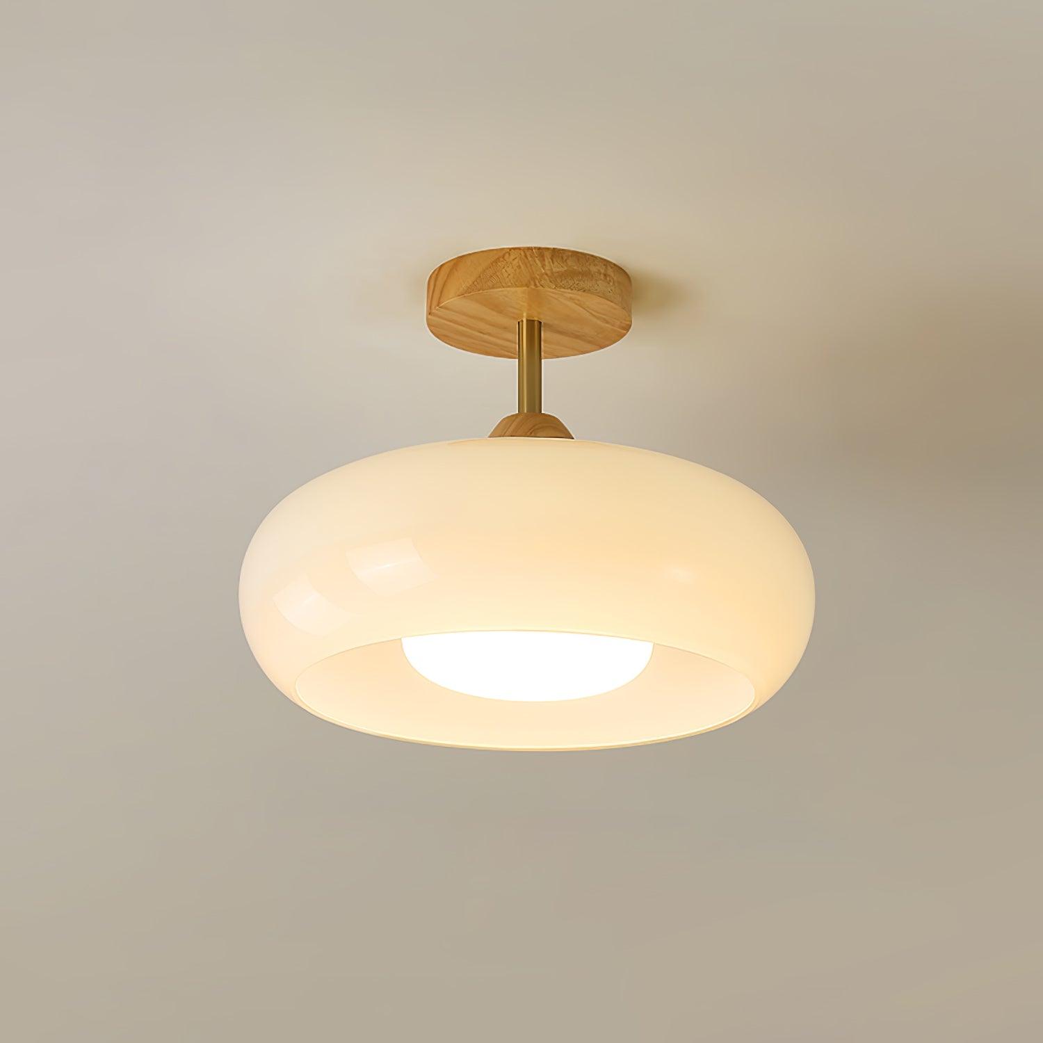 Bauhaus Disc Ceiling Light