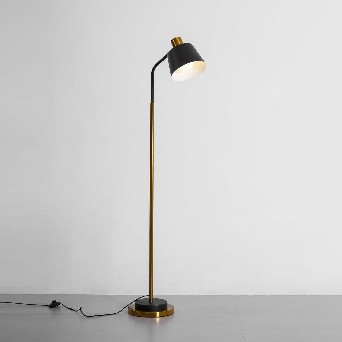 Slim Black Gold Arched Floor Lamp