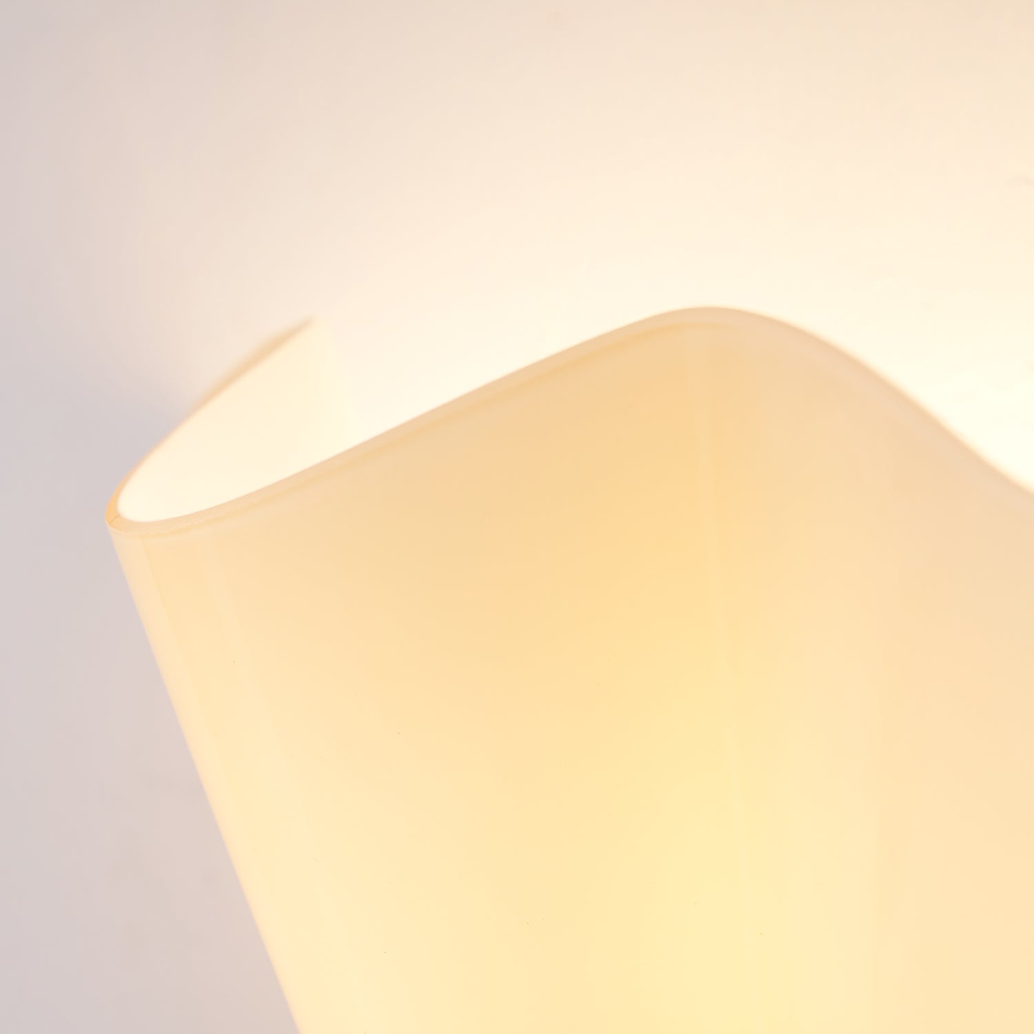 Petal Shell Wall Light