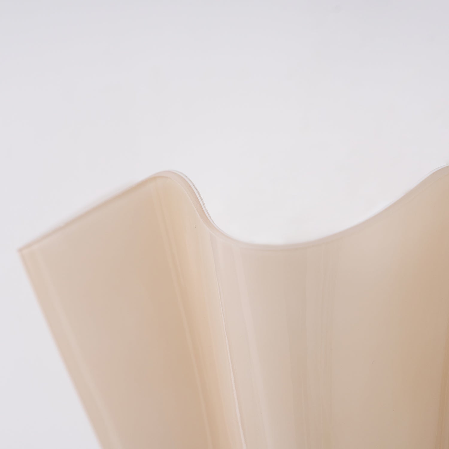 Petal Shell Wall Light