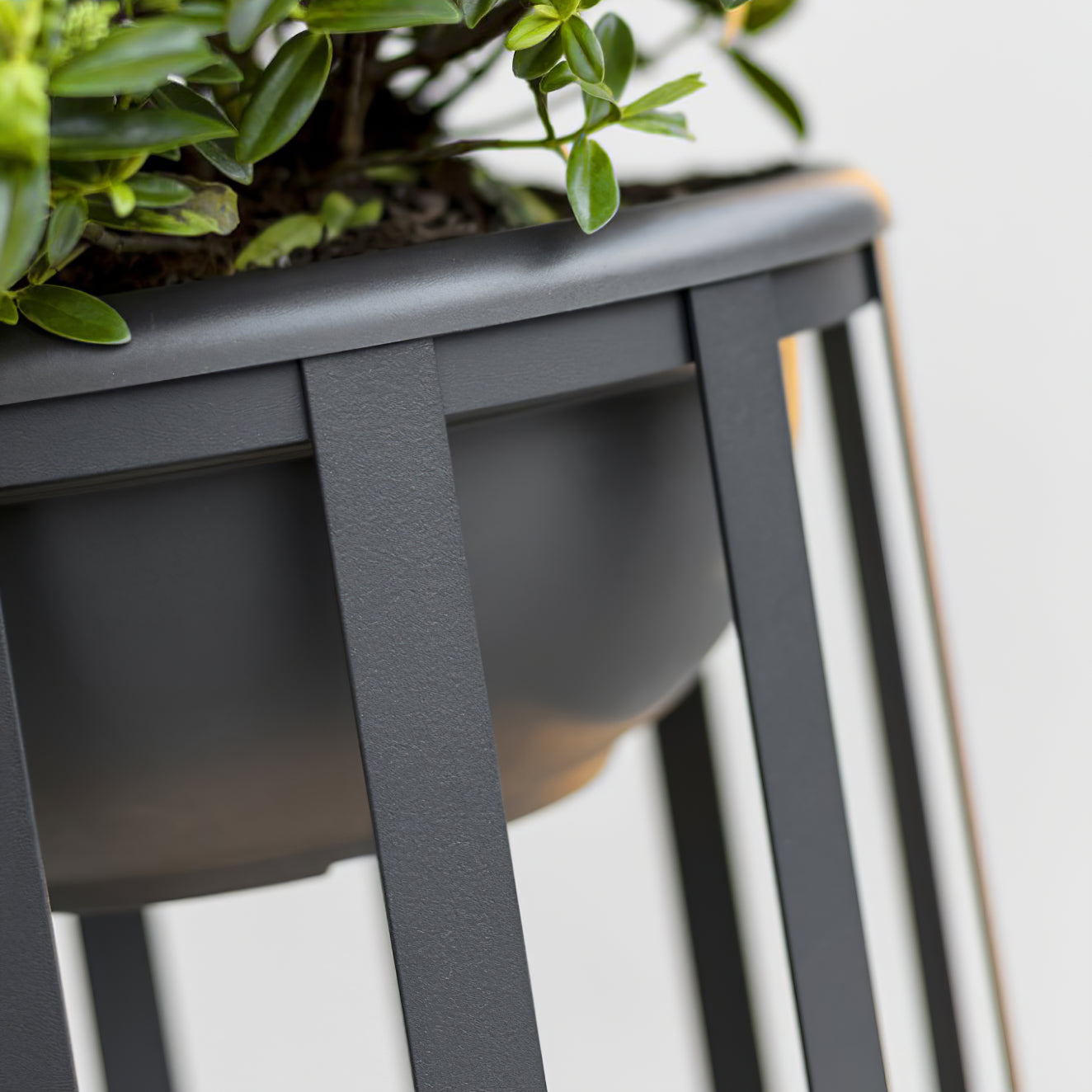 Sculptural Garden Dome Lamp