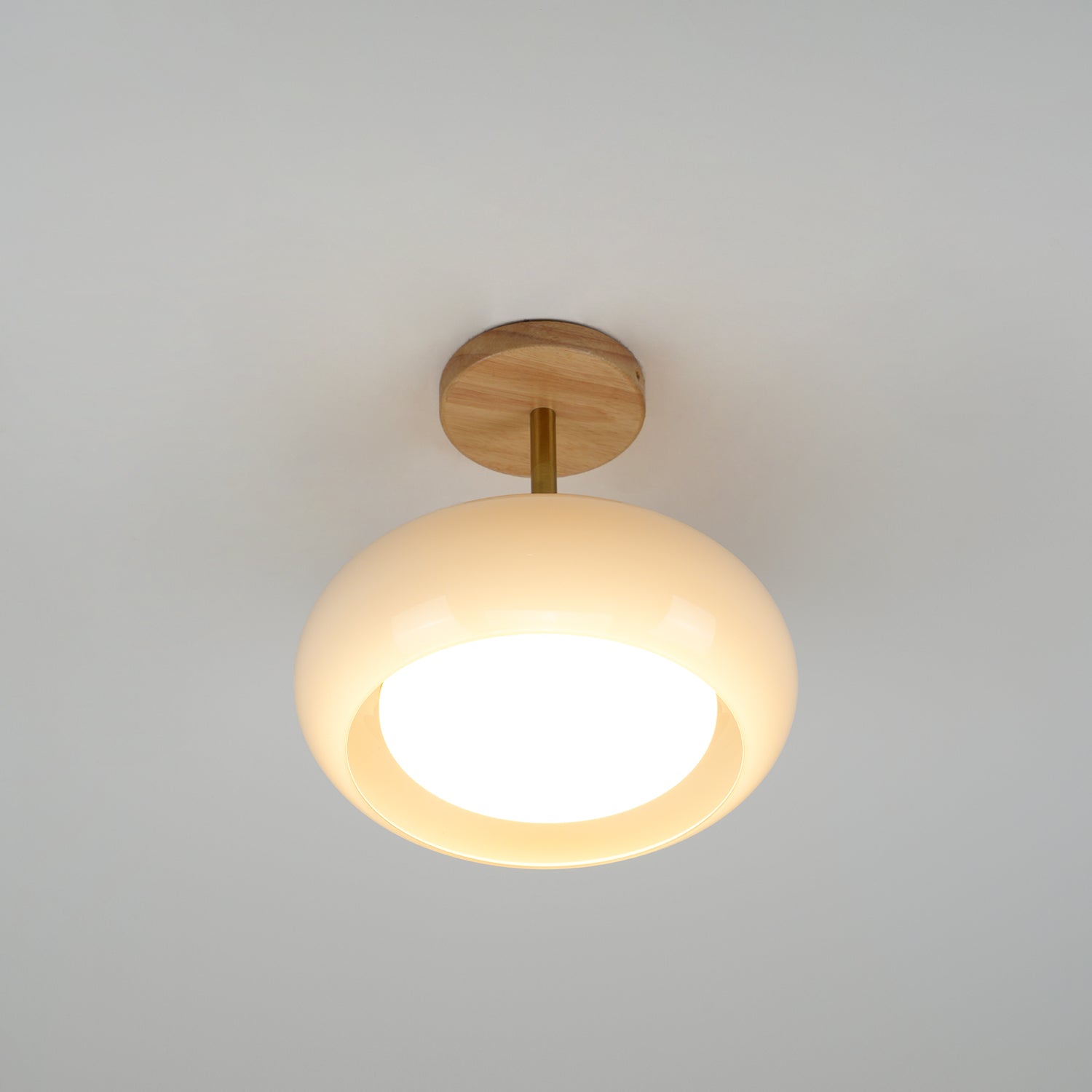 Bauhaus Disc Ceiling Light