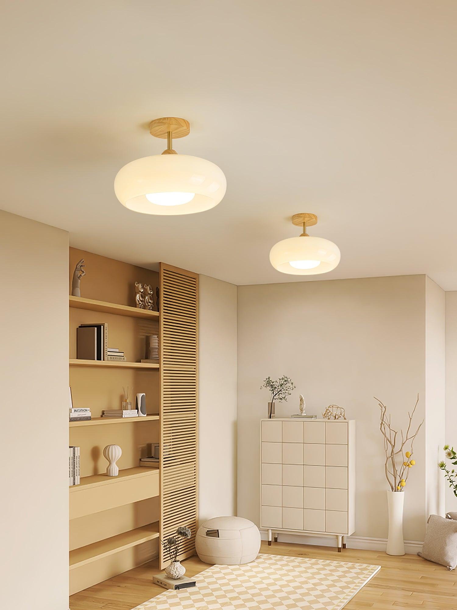 Bauhaus Disc Ceiling Light
