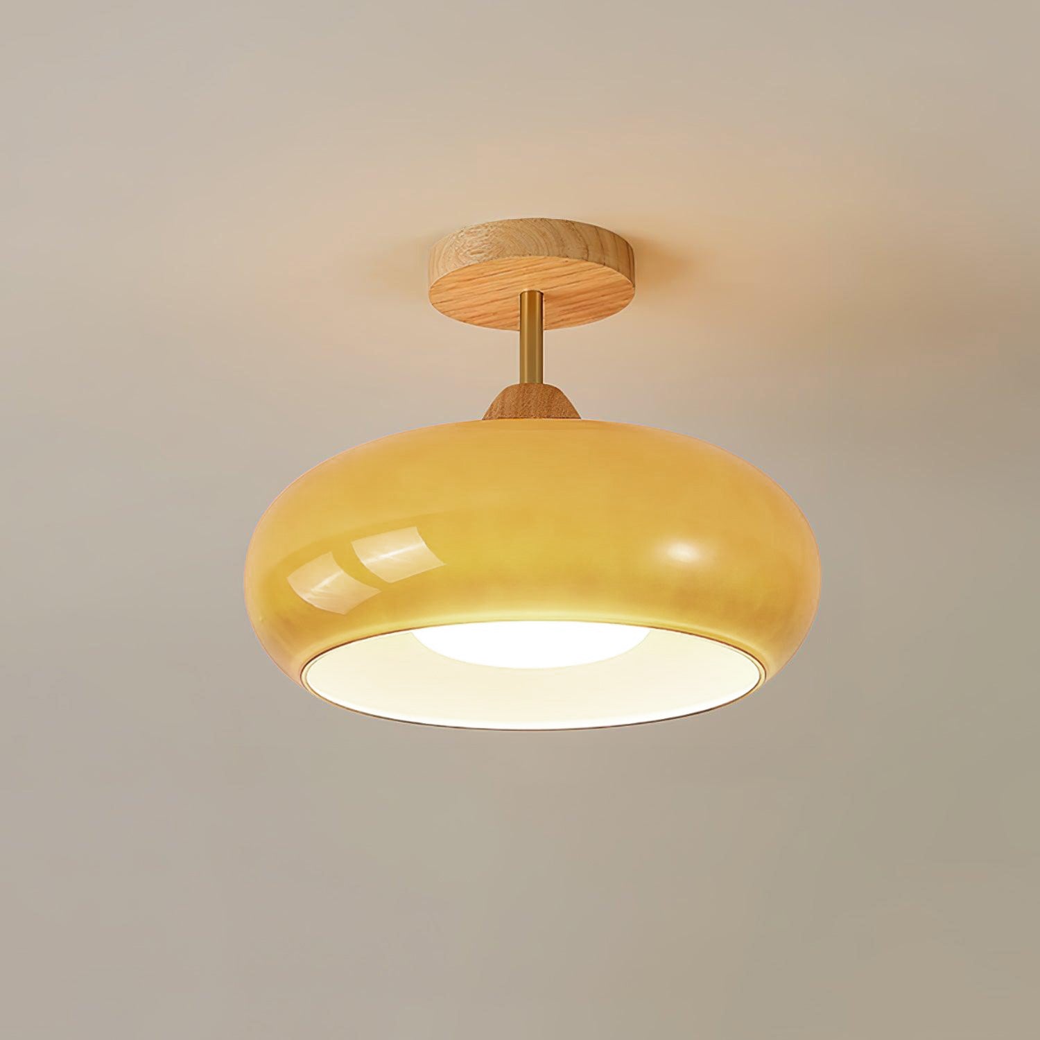 Bauhaus Disc Ceiling Light