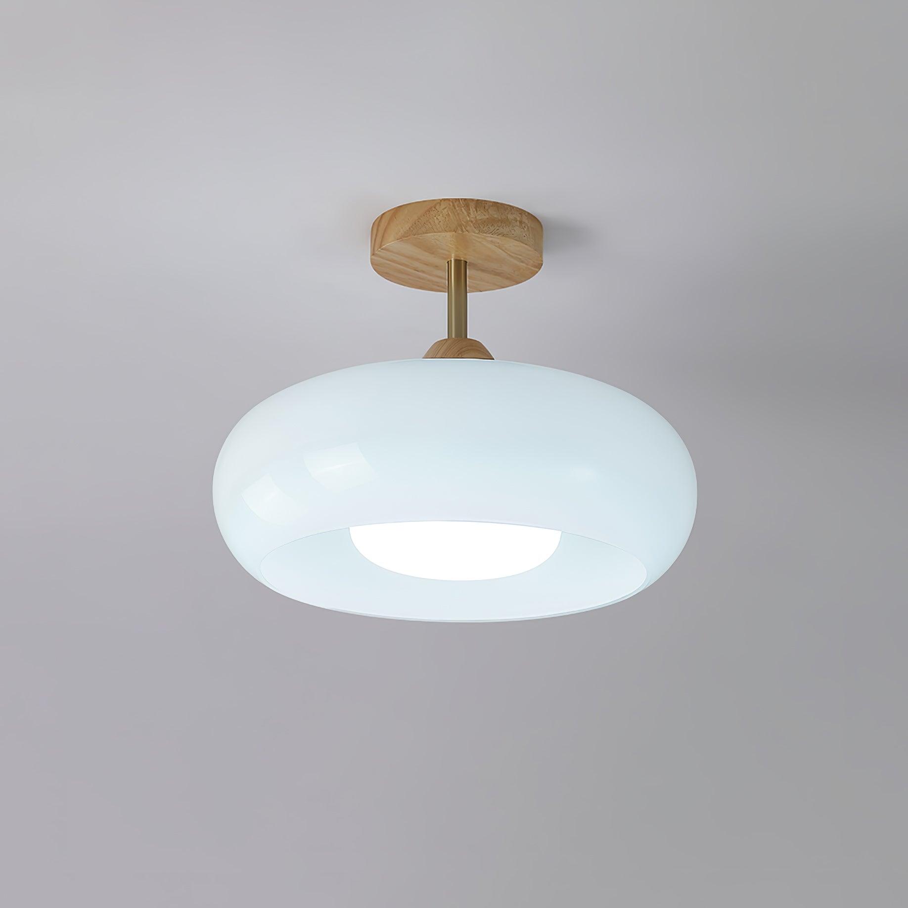 Bauhaus Disc Ceiling Light