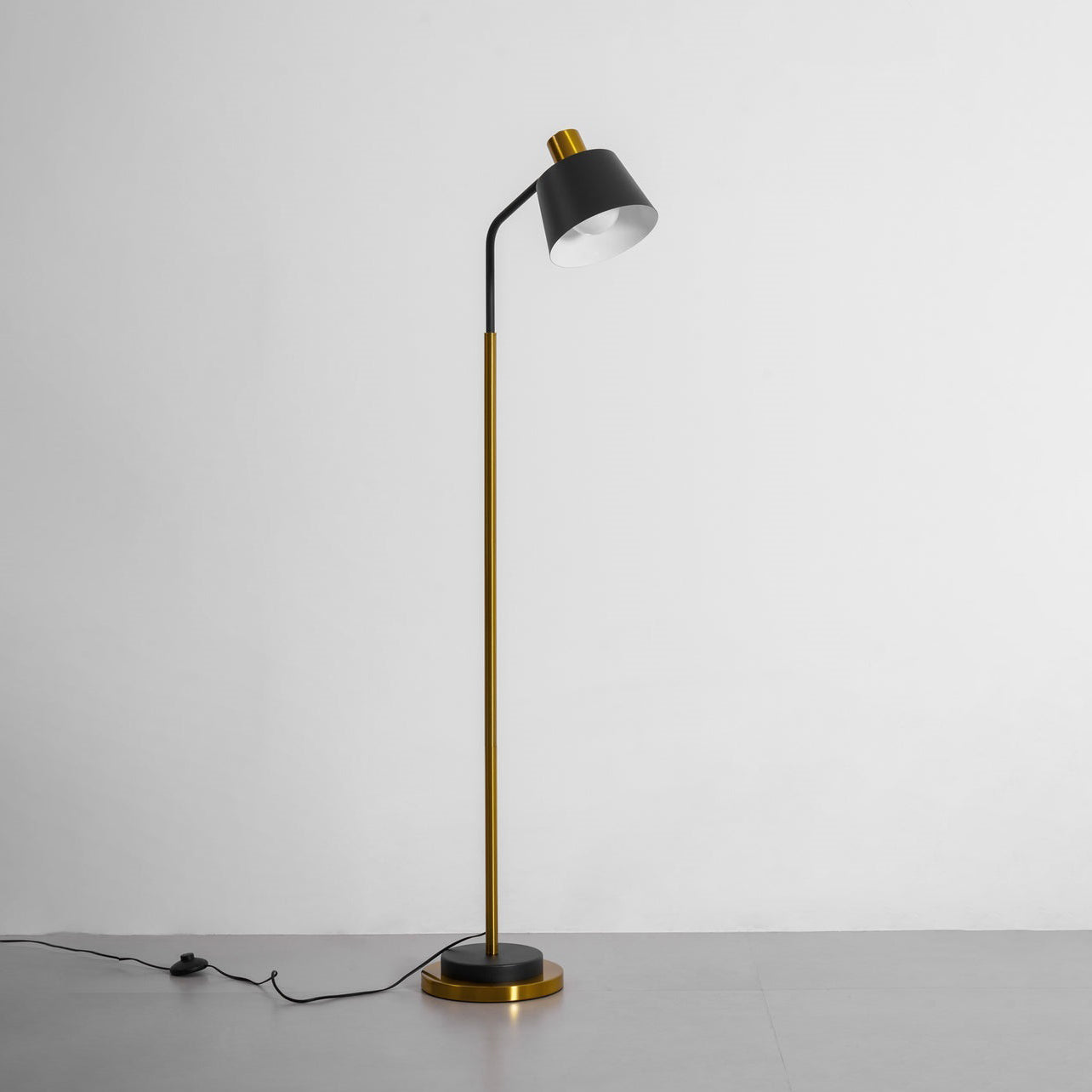 Slim Black Gold Arched Floor Lamp