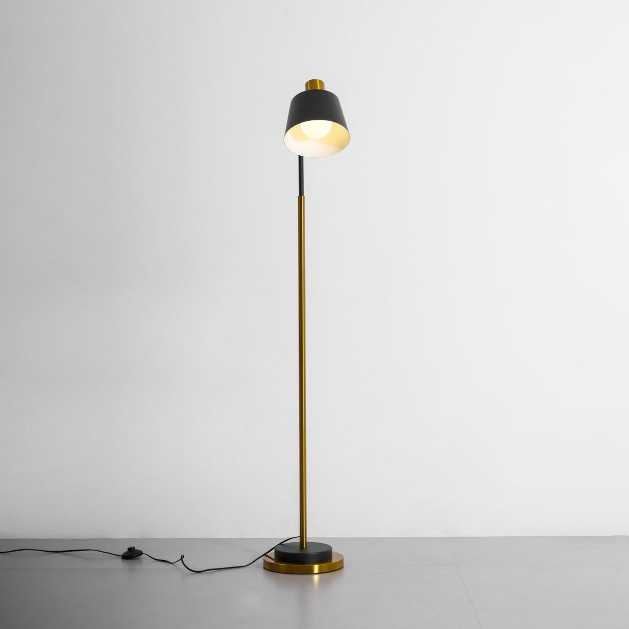 Slim Black Gold Arched Floor Lamp
