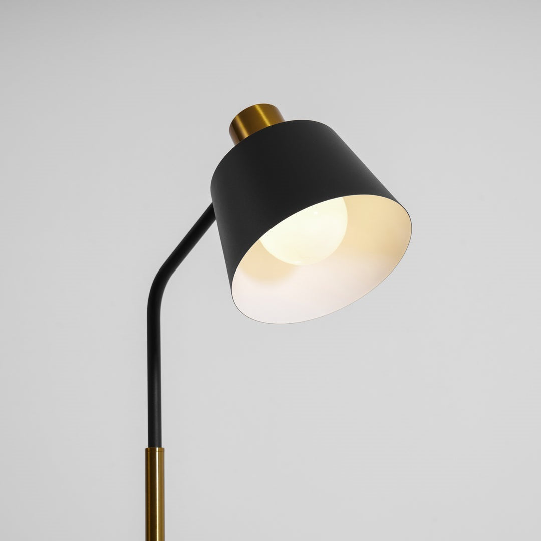 Slim Black Gold Arched Floor Lamp
