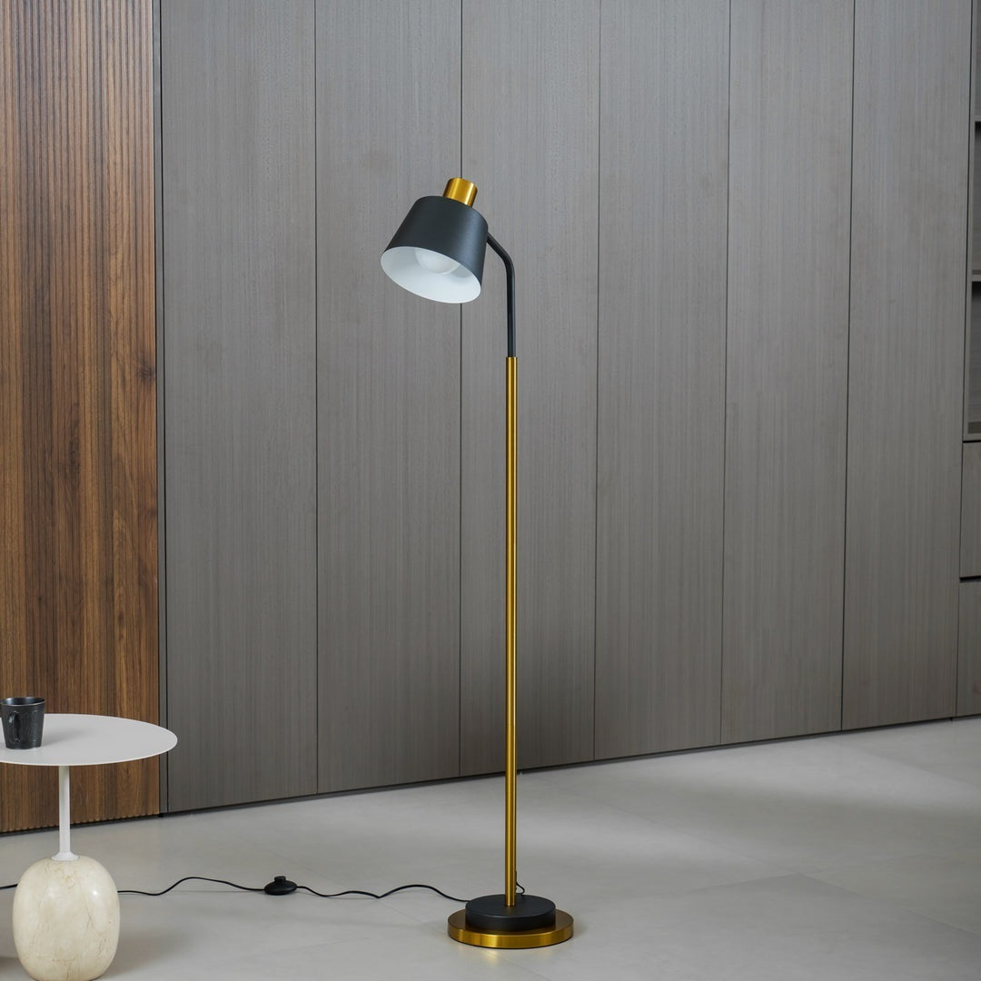 Slim Black Gold Arched Floor Lamp