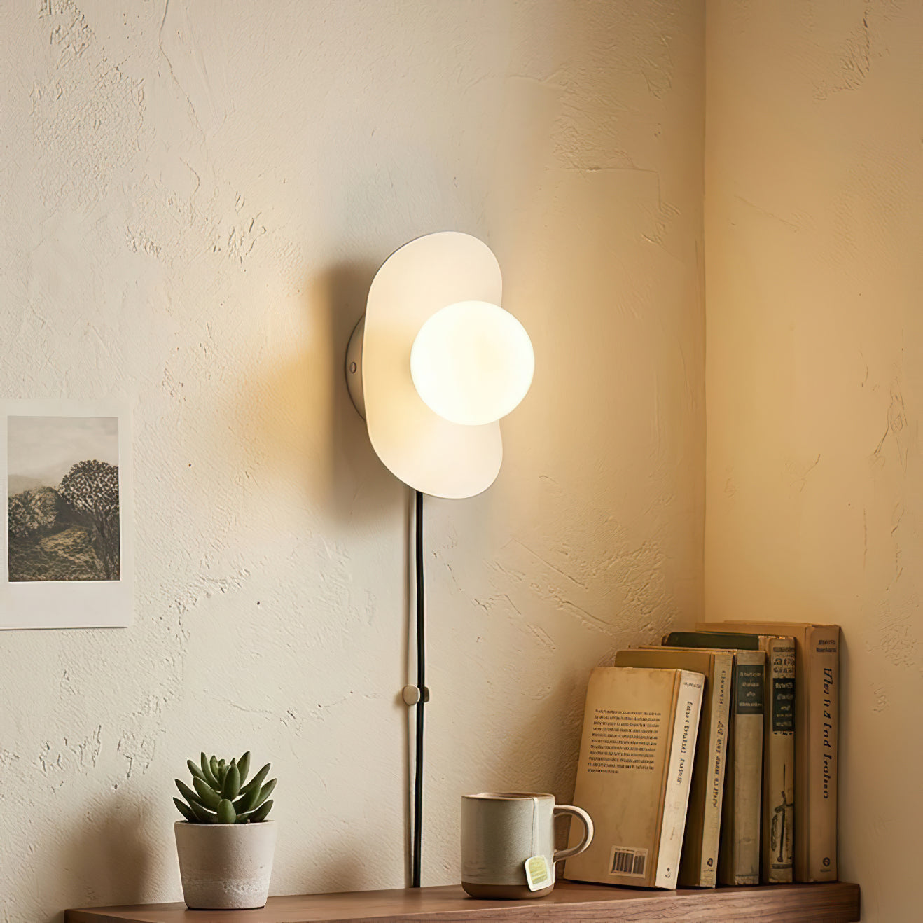 Organic Brass Plug-in Globe Wall Lamp